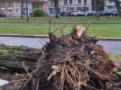 Normandie : les premières images des dégâts après le passage de la tempête Goretti