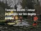 Tempête Goretti : retour en images sur les dégâts dans le Montreuillois