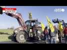 VIDÉO. Crise agricole : au Mont-Saint-Michel, la Confédération paysanne manifeste