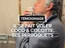 Il se fait voler Coco et Cocottes, ses perroquets