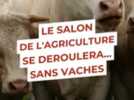 Reportage - Au Salon de l'agriculture, "ils nous prennent pour des ploucs" : pourquoi ces éleveurs n'y seraient de toute façon pas allés