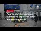 VIDEO. Pourquoi cette semaine s'annonce explosive pour le monde agricole