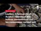 VIDEO. Leclerc, Intermarché et Auchan rappellent des huîtres contaminées : ne les consommez surtout pas