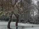Il neige à Roubaix : le parc Barbieux est tout blanc