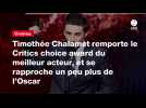 VIDEO. Timothée Chalamet remporte le Critics choice award du meilleur acteur, et se rapproche un peu plus de l'Oscar