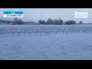 VIDÉO. La neige a recouvert le Vignoble nantais