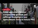 VIDÉO. Crise agricole : l'Union européenne promet une rallonge budgétaire aux agriculteurs dans la future PAC