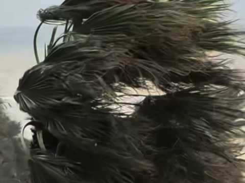 VIDEO : David Jeanmotte prisonnier d?une gros&hellip;