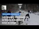 Les images magiques de la trouée d'Arenberg sous la neige
