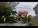 VIDÉO. Tempête Goretti : comment le centre d'appel des pompiers de la Manche va fonctionner