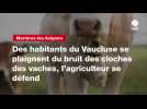VIDEO. Des habitants du Vaucluse se plaignent du bruit des cloches des vaches, l'agriculteur se défend