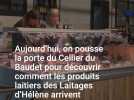 Découvrez le Pôle Circuit Court en Province de Luxembourg