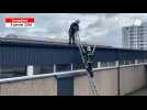 VIDÉO. Au collège des Provinces à Cherbourg les pompiers sécurisent une toiture envolée