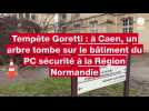 VIDÉO. Tempête Goretti : la chute d'un gros arbre a causé des dégâts au siège de la Région Normandie à Caen
