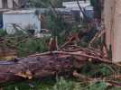 Tempête Goretti : un arbre s'abat sur une maison au nord de Rouen, la maire en colère