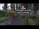 Ce que l'on sait du passage de la tempête Goretti en Bretagne
