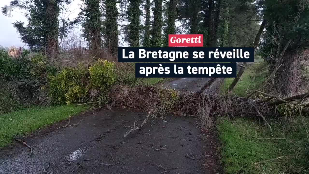 Quelles perturbations suite au passage de la tempête Goretti en Bretagne ?