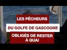 Troisième fermeture du Golfe de Gascogne : que sait-on sur l'efficacité de cette mesure ?