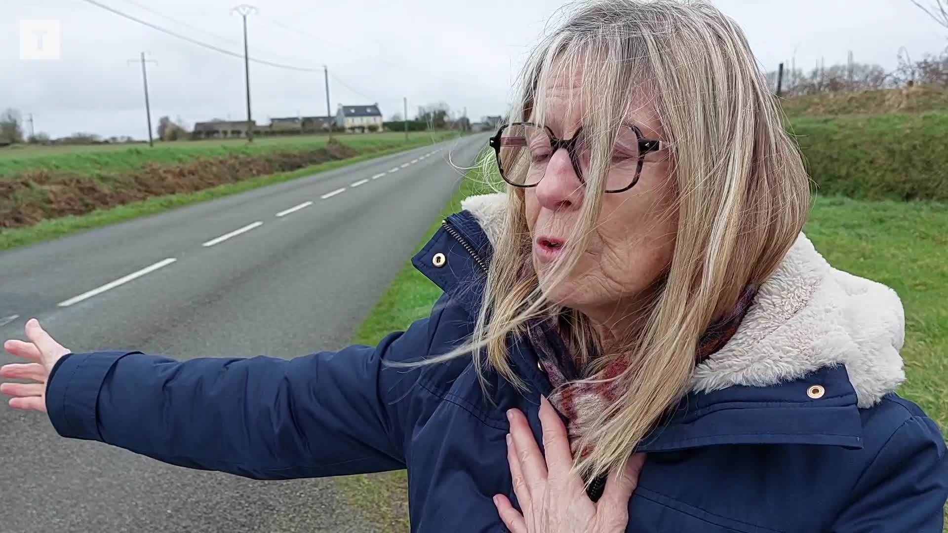 « Elle a défoncé mon pare-brise et s’est enfuie » : à Plougonvelin, une conductrice accidentée attend la reconnaissance du propriétaire d’une vache [Vidéo]