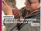 En hiver, la SPA est vigilante au bien-être des animaux