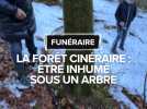 La forêt cinéraire : être inhumé dans les racines d'un arbre