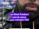 Les Black Panthers de retour pour intimider ICE