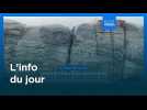 L'info du jour | 28 janvier 2026 - Soir