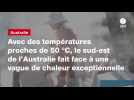 VIDÉO. Avec des températures proches de 50 °C, le sud-est de l'Australie fait face à une vague de chaleur exceptionnelle