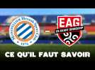 VIDÉO. Montpellier - Guingamp : séries en cours, absences des deux côtés... Ce qu'il faut savoir du match de Ligue 2
