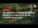 VIDÉO. Un chasseur capture un python géant de 5 mètres et 92 kg : « C'était de la folie ! »
