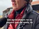 Agriculture - 300 millions d'euros : en déplacement dans la Nièvre, la ministre de l'Agriculture Annie Genevard a dévoilé son plan d'urgence