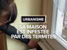 Sa maison est infestée de termites
