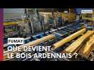 Que devient le bois qui passe par la scierie IFA de Fumay ?
