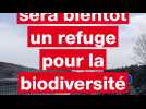 VIDÉO. Cette carrière près de Saint-Brieuc deviendra bientôt un refuge de biodiversité