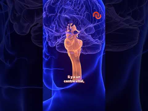 Un K.O. débranche le cerveau ?! #shorts