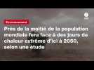 VIDEO. Près de la moitié de la population mondiale fera face à des jours de chaleur extrême d'ici à 2050, selon une étude