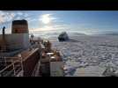 VIDÉO. Un brise glace américain libère un navire de croisière en Antarctique