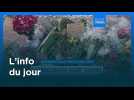 L'info du jour | 27 janvier 2026 - Mi-journée