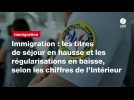 VIDÉO. Immigration : les titres de séjour en hausse et les régularisations en baisse, selon les chiffres de l'Intérieur