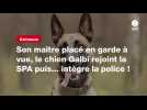 VIDÉO. Son maître placé en garde à vue, le chien Galbi rejoint la SPA puis... intègre la police !