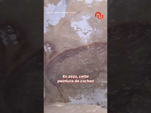 On s'est trompés sur la plus vieille oeuvre d'art de l'humanité ! #shorts