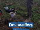Des écoliers de Cany-Barville plantent une haie
