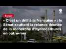 VIDEO. « C'est un drill à la française » : le Sénat soutient la relance décriée de la recherche d'hydrocarbures en outre-mer