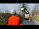 VIDÉO. Après Goretti, Orange doit remplacer 2 200 poteaux fauchés par la tempête en Normandie