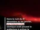 En images - C'est déjà la deuxième éruption de l'année du Piton de la Fournaise : découvrez les premières images