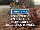 Tempête Nils : Les pompiers en renfort pour couper les arbres tombés