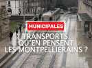 Municipales 2026 à Montpellier : que pensent les habitants des transports et de la circulation dans leur ville ?