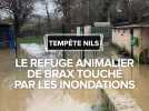 Tempête Nils : le refuge animalier de Brax touché par les inondations