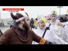 VIDÉO. Carnaval de Granville. Voir des mouettes danser sur la Granvillaise, c'est tout un spectacle