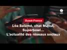 VIDEO. Léa Salamé, chat Manul, Superbowl... L'actualité des réseaux sociaux